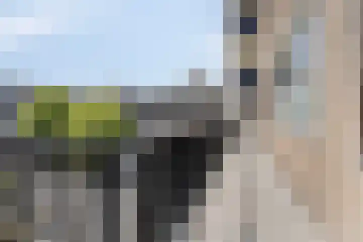 Smaragdplein 183 Utrecht thumbnail 8