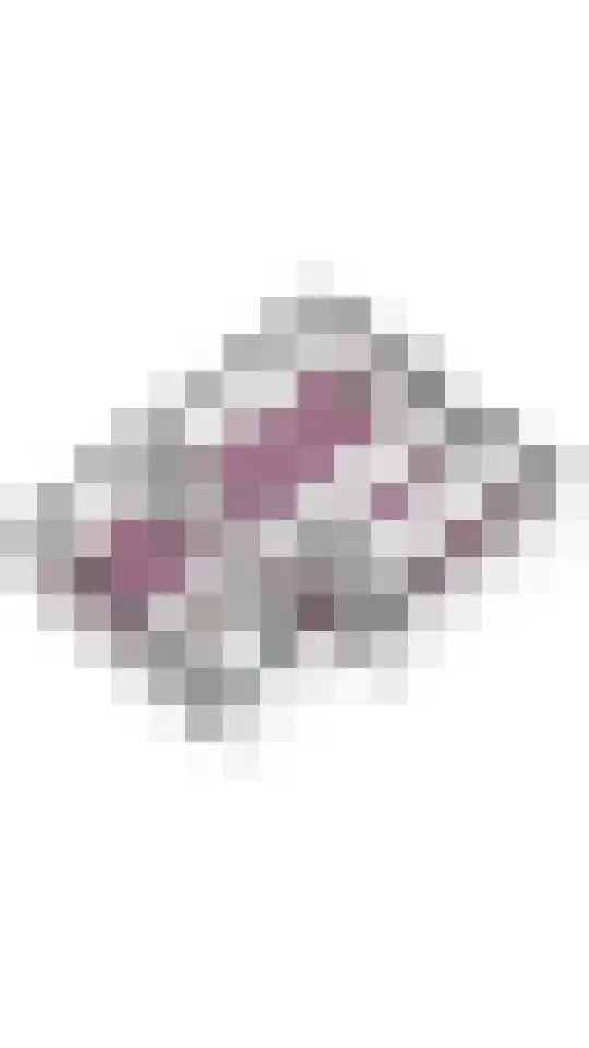 Smaragdplein 185 Utrecht thumbnail 34