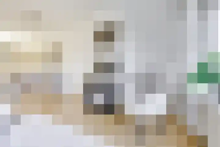 Smaragdplein 191 Utrecht thumbnail 10