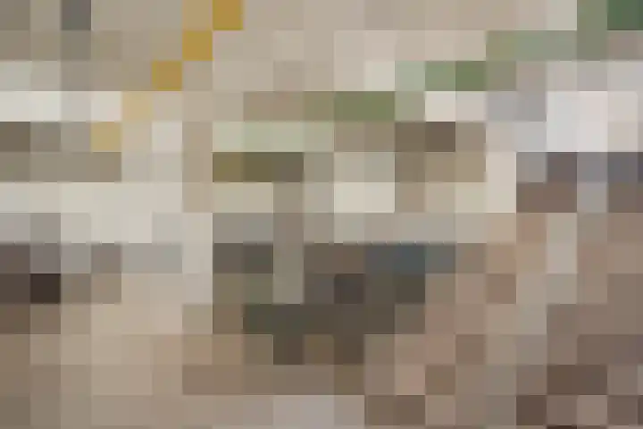 Smaragdplein 209 Utrecht thumbnail 25