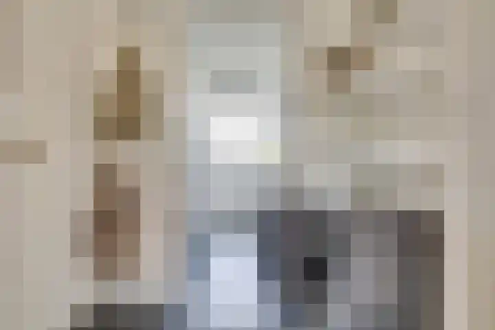 Smaragdplein 38 Utrecht thumbnail 15