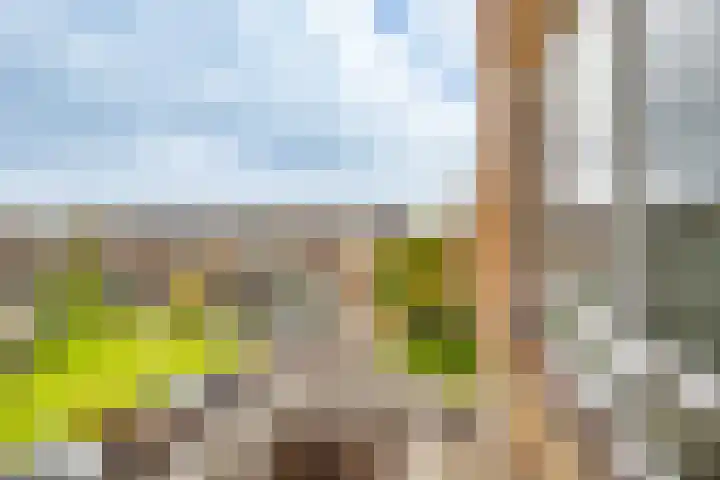 Smaragdplein 38 Utrecht thumbnail 30