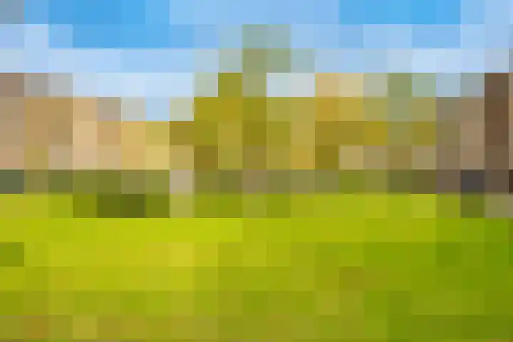 Smaragdplein 38 Utrecht thumbnail 37