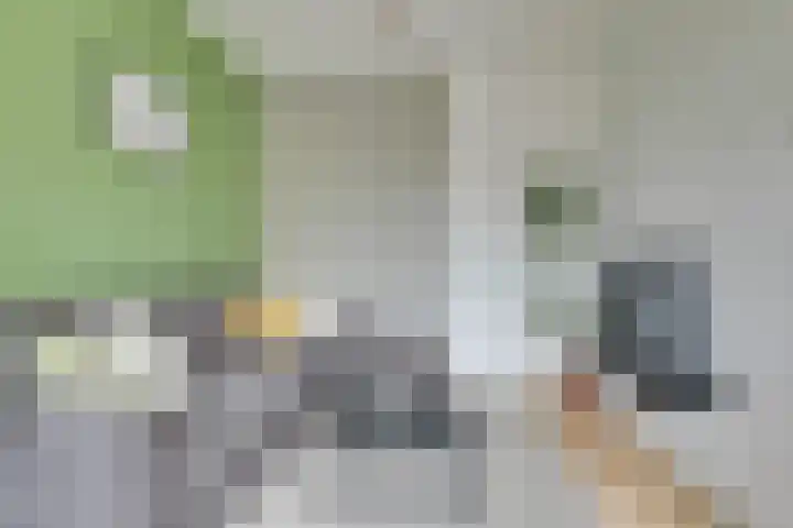 Smaragdplein 38 Utrecht thumbnail 7