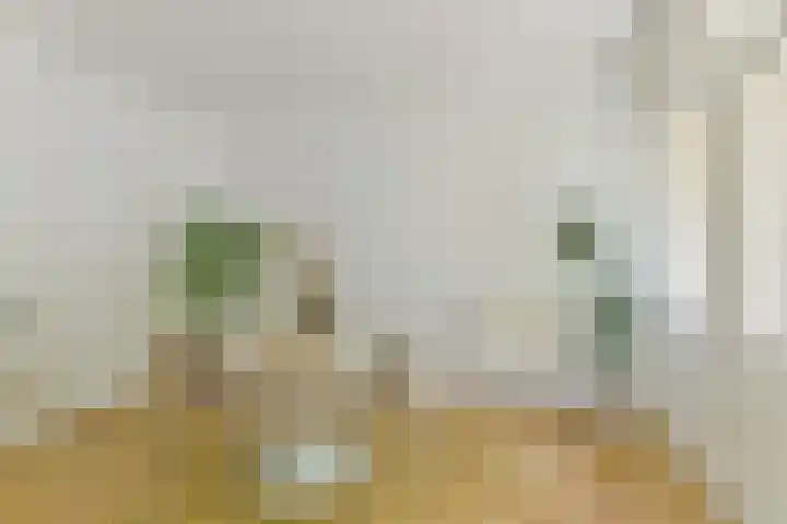 Smaragdplein 45 Utrecht thumbnail 10