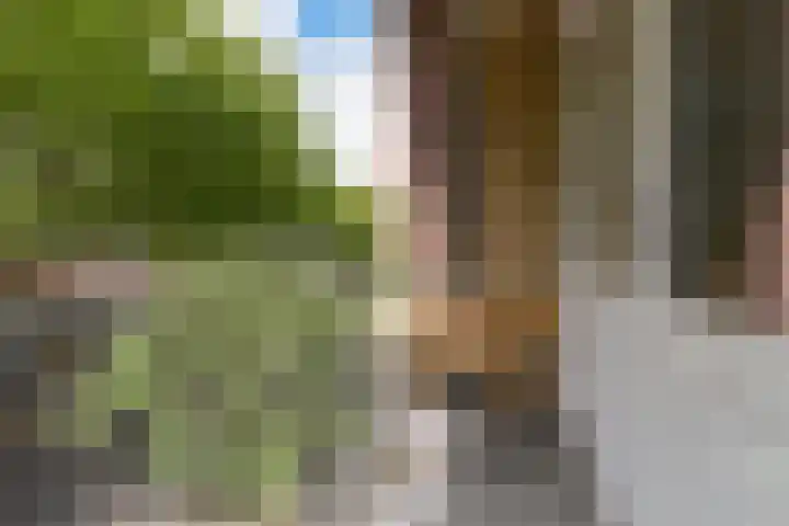 Smaragdplein 45 Utrecht thumbnail 12