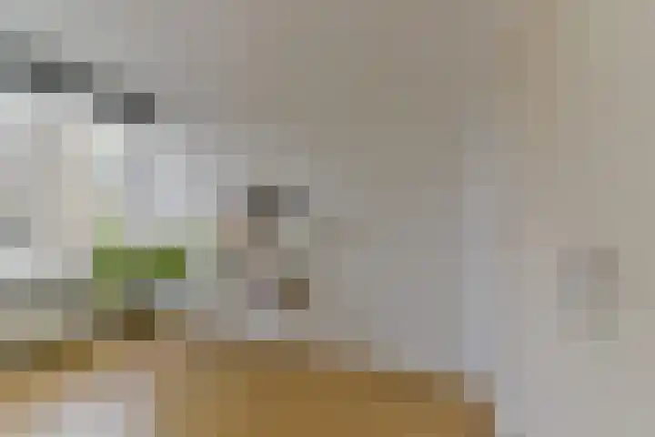 Smaragdplein 45 Utrecht thumbnail 24