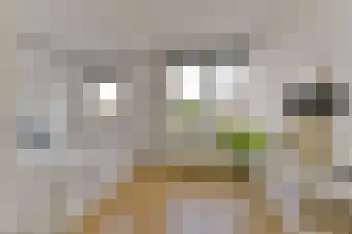 Smaragdplein 45 Utrecht thumbnail 25