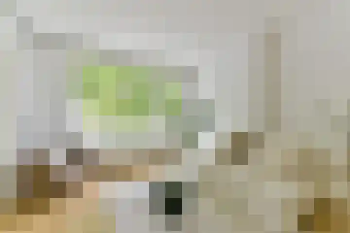 Smaragdplein 45 Utrecht thumbnail 7