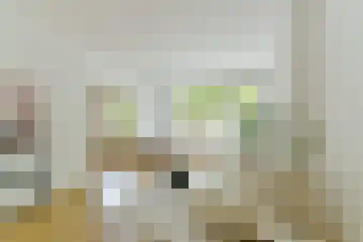 Smaragdplein 45 Utrecht thumbnail 8