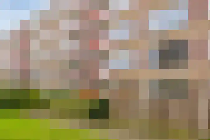 Smaragdplein 53 Utrecht thumbnail 11