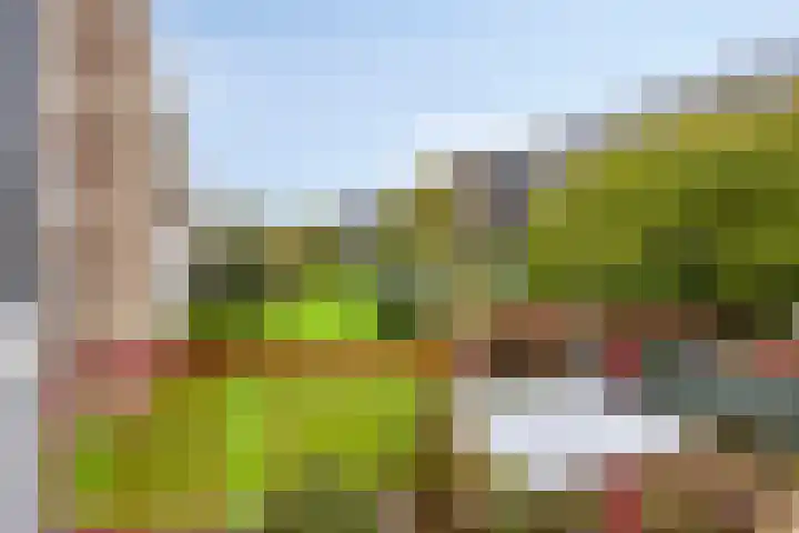 Smaragdplein 53 Utrecht thumbnail 8