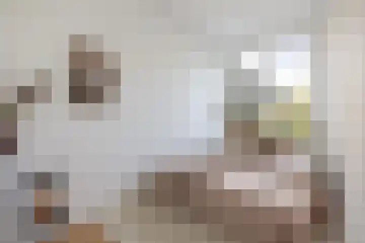 Smaragdplein 54 Utrecht thumbnail 16
