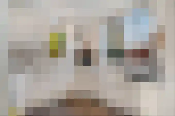 Smaragdstoep 11 Assen thumbnail 20