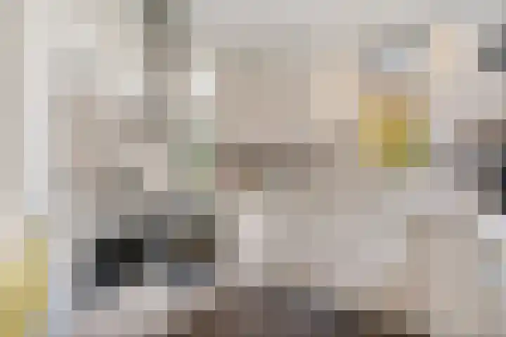 Smaragdstoep 11 Assen thumbnail 21