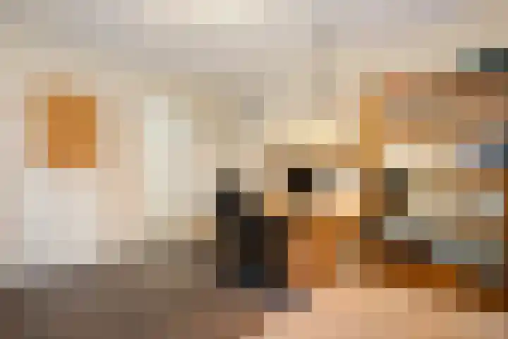 Smaragdstoep 11 Assen thumbnail 23