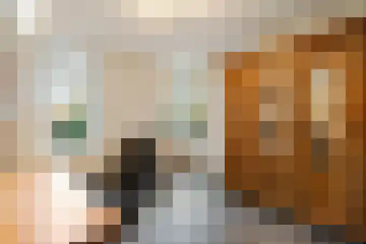 Smaragdstoep 11 Assen thumbnail 24