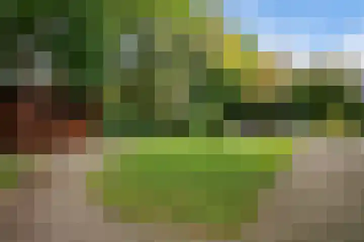Smaragdstoep 11 Assen thumbnail 4
