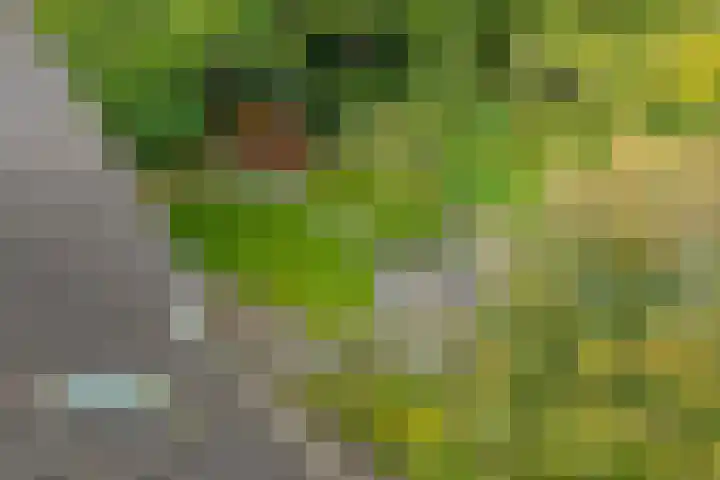 Smaragdstoep 11 Assen thumbnail 40