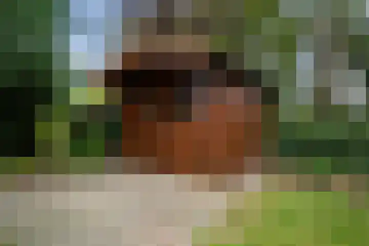 Smaragdstoep 11 Assen thumbnail 43
