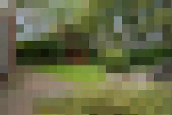 Smaragdstoep 11 Assen thumbnail 44
