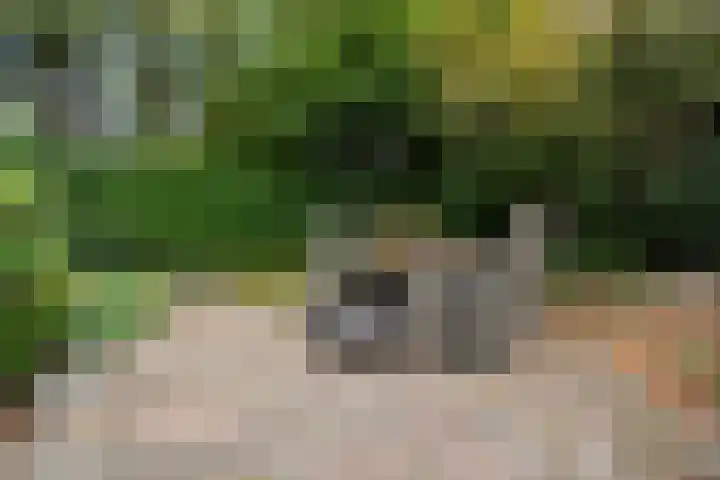 Smaragdstoep 11 Assen thumbnail 45
