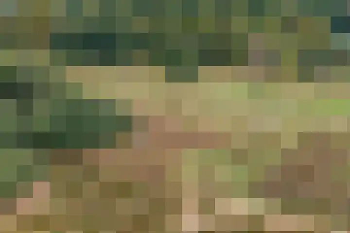 Smaragdstoep 11 Assen thumbnail 51