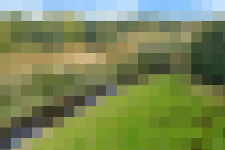 Smaragdstoep 11 Assen thumbnail 52