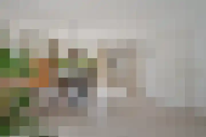 Smaragdstoep 16 Assen thumbnail 15