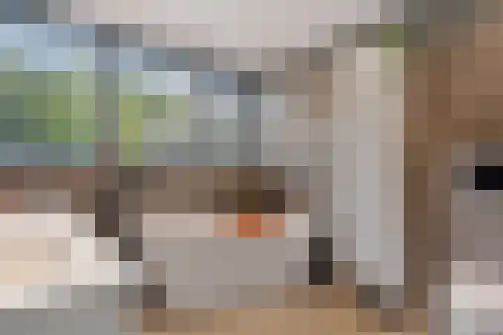 Smaragdstoep 16 Assen thumbnail 24