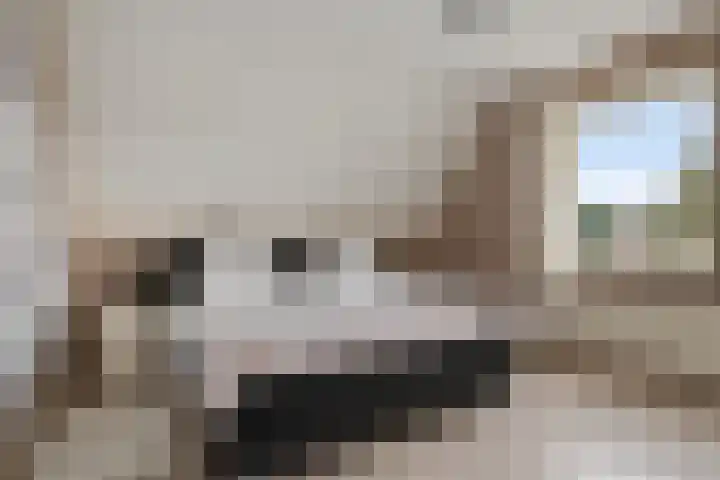 Smaragdstoep 16 Assen thumbnail 28