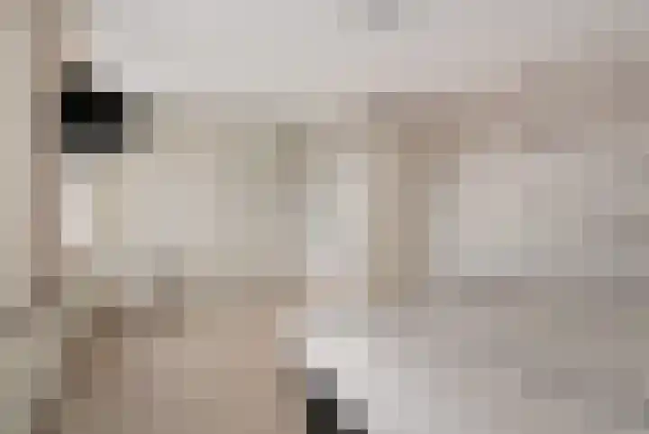 Smaragdstoep 16 Assen thumbnail 29
