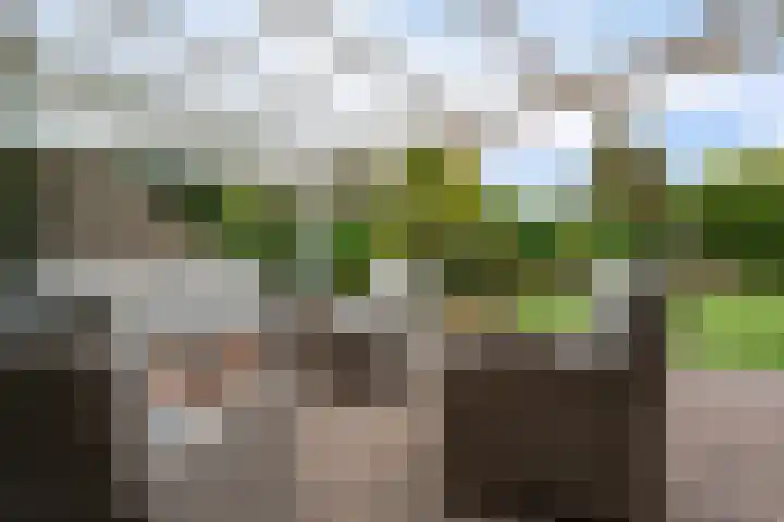 Smaragdstoep 16 Assen thumbnail 38