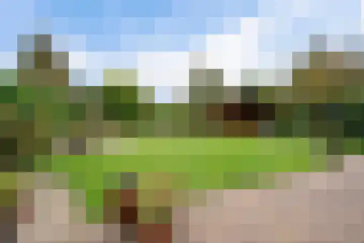 Smaragdstoep 16 Assen thumbnail 4