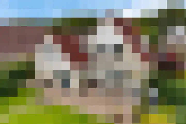 Smaragdstoep 16 Assen thumbnail 41