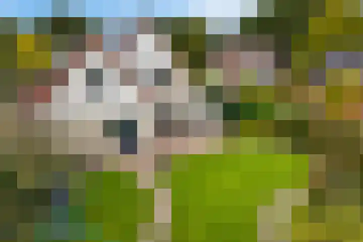 Smaragdstoep 16 Assen thumbnail 43
