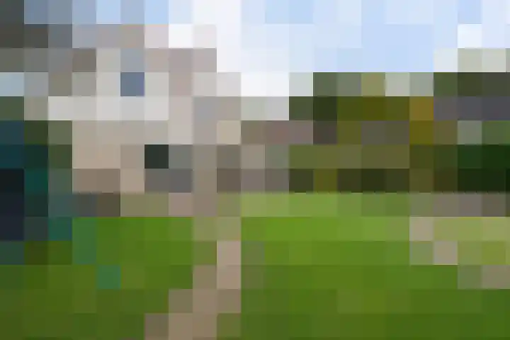 Smaragdstoep 16 Assen thumbnail 45