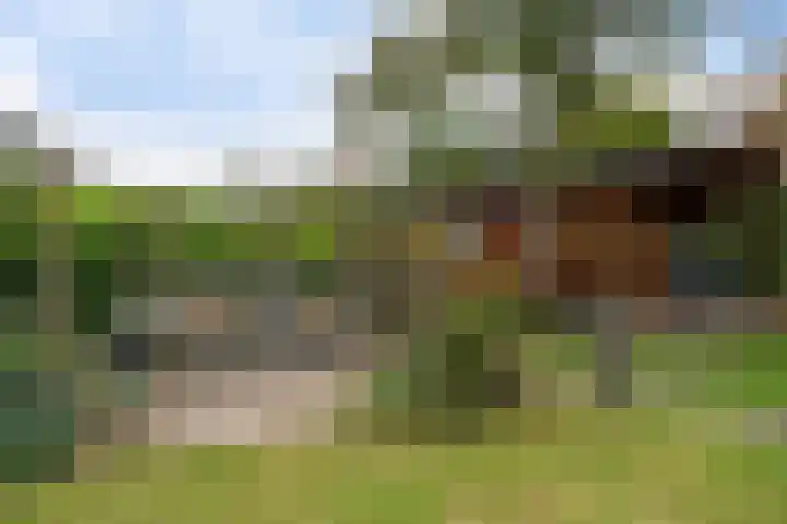 Smaragdstoep 16 Assen thumbnail 46