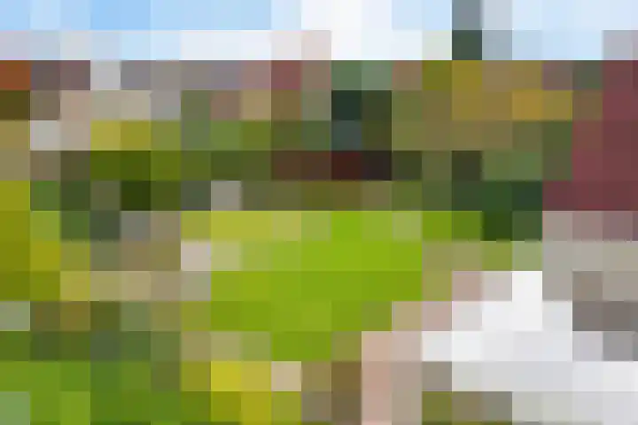 Smaragdstoep 16 Assen thumbnail 49