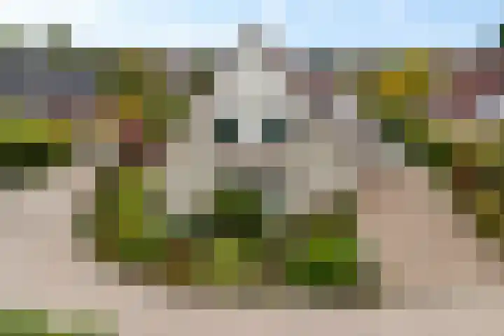 Smaragdstoep 16 Assen thumbnail 5