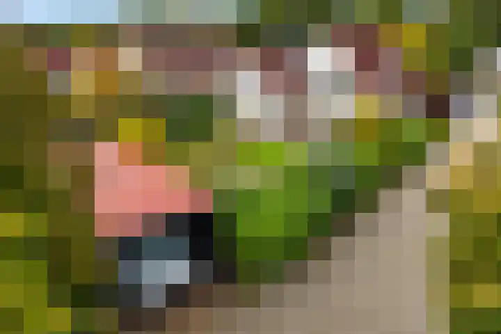 Smaragdstoep 16 Assen thumbnail 50