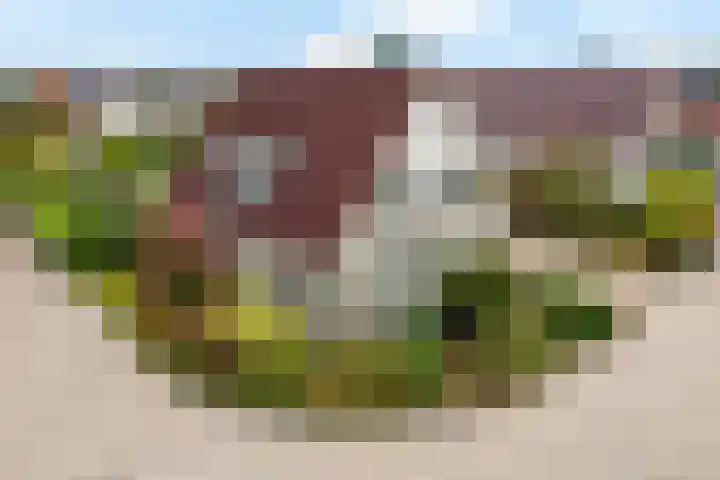 Smaragdstoep 16 Assen thumbnail 53