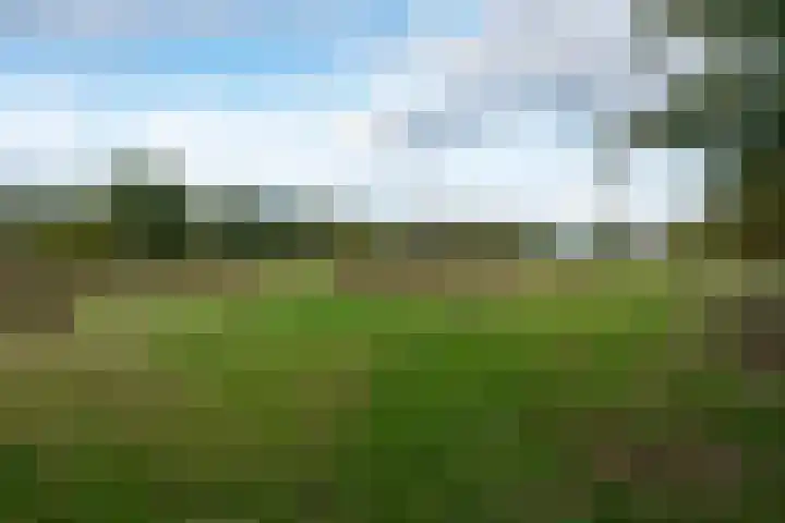 Smaragdstoep 16 Assen thumbnail 56