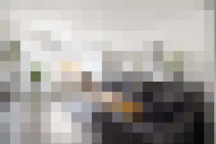 Smaragdstraat 11 Groningen thumbnail 13