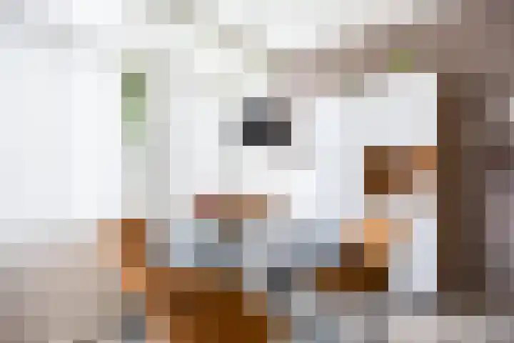 Smaragdstraat 11 Groningen thumbnail 22