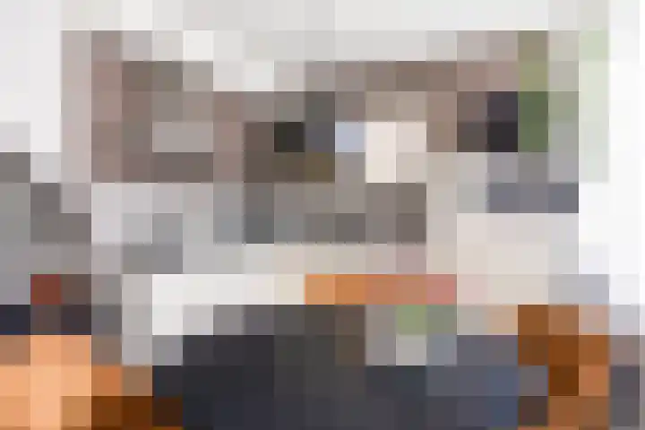 Smaragdstraat 11 Groningen thumbnail 24
