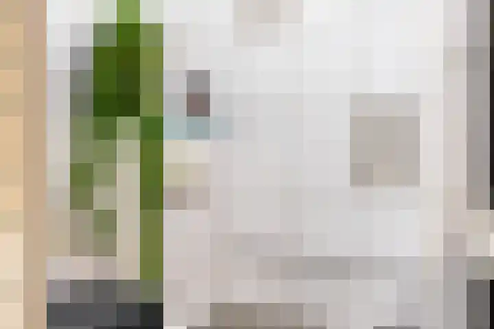 Smaragdstraat 11 Groningen thumbnail 31