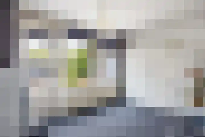 Smaragdstraat 11 Groningen thumbnail 8