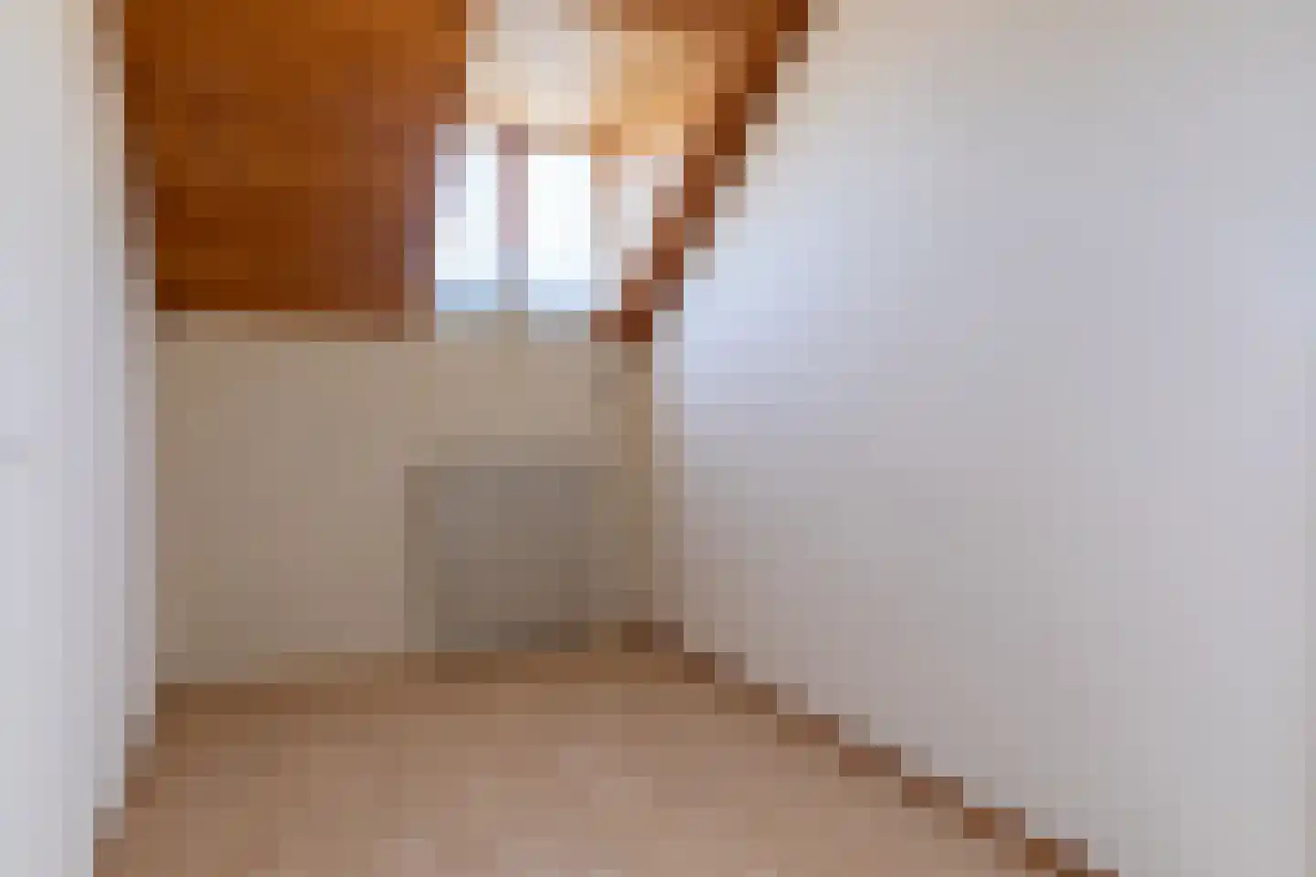Smaragdstraat 12 Heerlen thumbnail 15