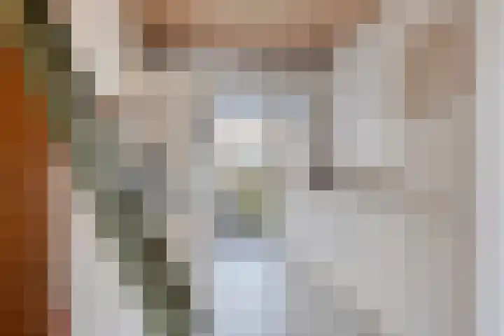 Smaragdstraat 15 Amsterdam thumbnail 10